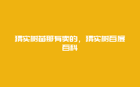 猬实树苗那有卖的，猬实树百度百科