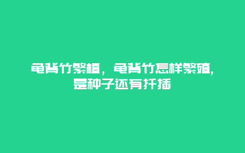 龟背竹繁植，龟背竹怎样繁殖,是种子还有扦插