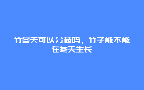 竹冬天可以分枝吗，竹子能不能在冬天生长