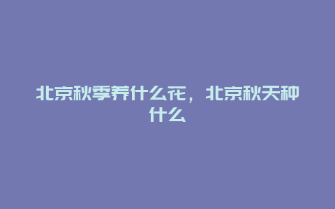 北京秋季养什么花，北京秋天种什么