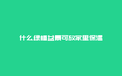 什么绿植盆景可放家里保温