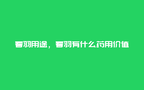 春羽用途，春羽有什么药用价值