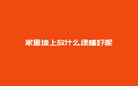 家里墙上放什么绿植好呢