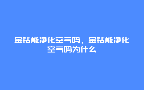 金钻能净化空气吗，金钻能净化空气吗为什么