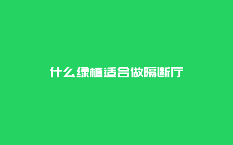 什么绿植适合做隔断厅