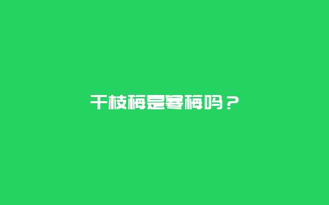 干枝梅是寒梅吗？