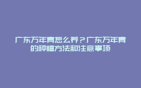 广东万年青怎么养？广东万年青的种植方法和注意事项