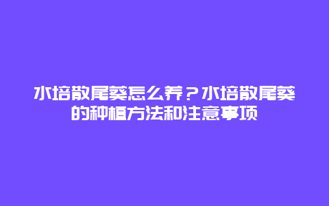 水培散尾葵怎么养？水培散尾葵的种植方法和注意事项