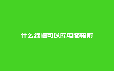 什么绿植可以除电脑辐射