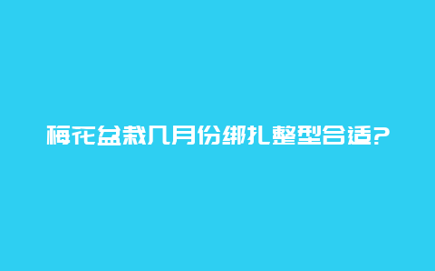 梅花盆栽几月份绑扎整型合适?