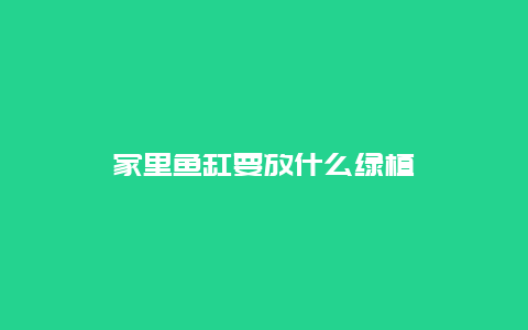 家里鱼缸要放什么绿植