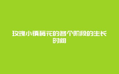 玫瑰小镇梅花的各个阶段的生长时间