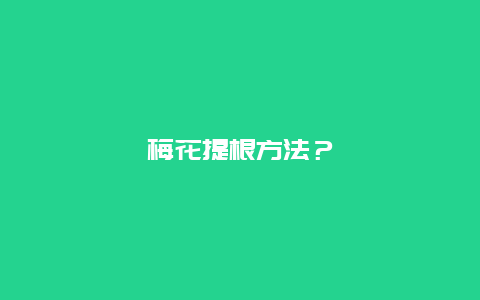 梅花提根方法？