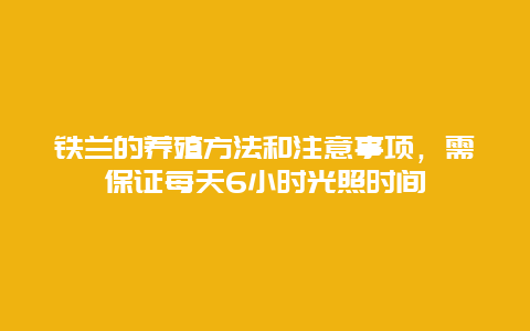 铁兰的养殖方法和注意事项，需保证每天6小时光照时间