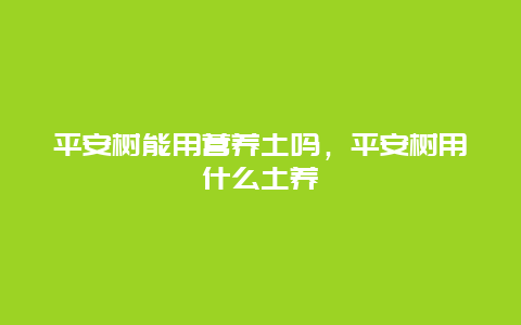 平安树能用营养土吗，平安树用什么土养