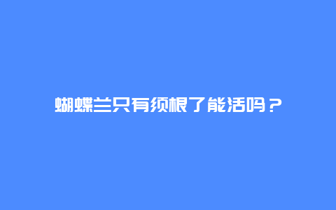 蝴蝶兰只有须根了能活吗？