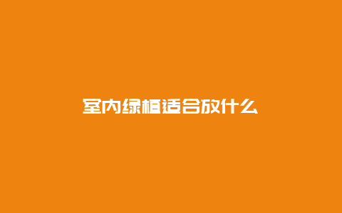 室内绿植适合放什么