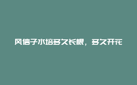 风信子水培多久长根，多久开花