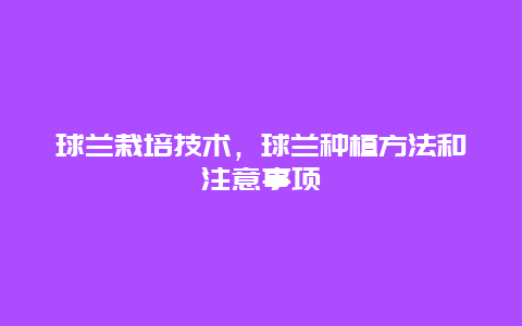 球兰栽培技术，球兰种植方法和注意事项