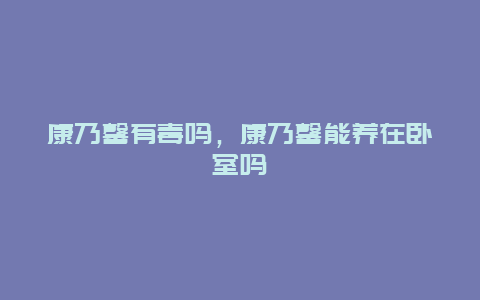 康乃馨有毒吗，康乃馨能养在卧室吗