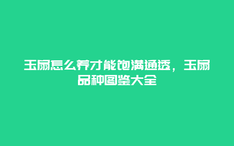 玉扇怎么养才能饱满通透，玉扇品种图鉴大全