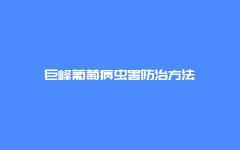 巨峰葡萄病虫害防治方法