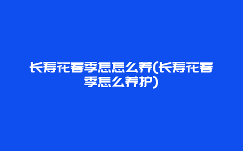 长寿花春季怎怎么养(长寿花春季怎么养护)