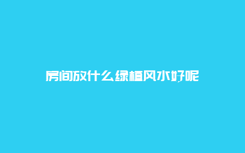 房间放什么绿植风水好呢