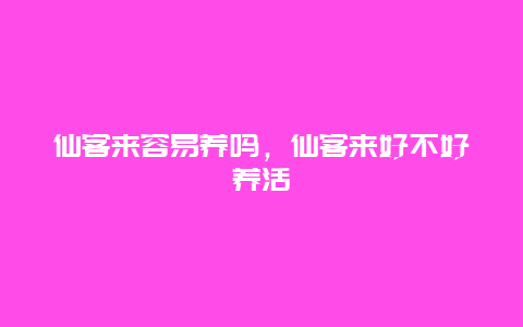 仙客来容易养吗，仙客来好不好养活