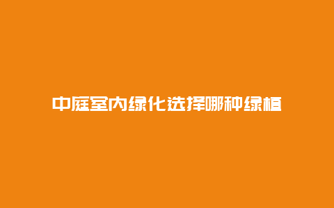 中庭室内绿化选择哪种绿植