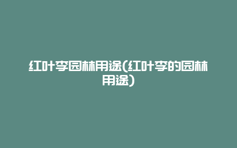 红叶李园林用途(红叶李的园林用途)