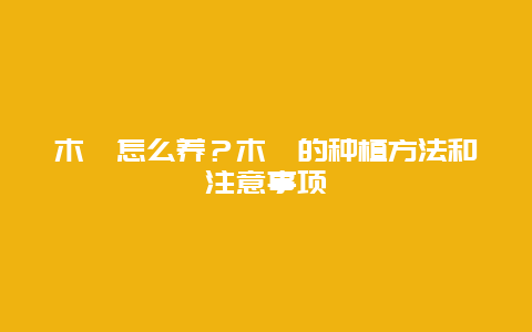 木槿怎么养？木槿的种植方法和注意事项