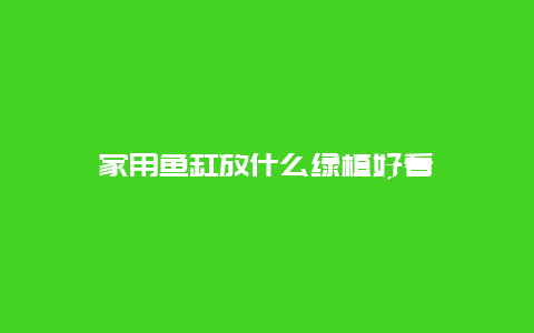 家用鱼缸放什么绿植好看