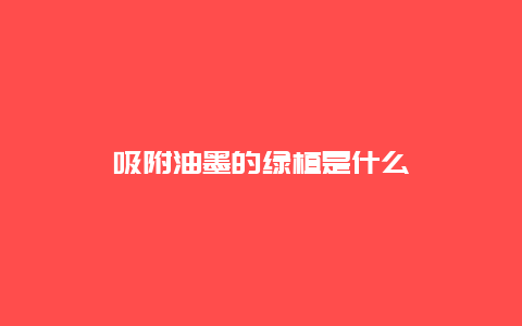 吸附油墨的绿植是什么