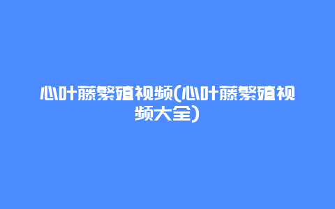 心叶藤繁殖视频(心叶藤繁殖视频大全)