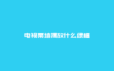 电视幕墙摆放什么绿植