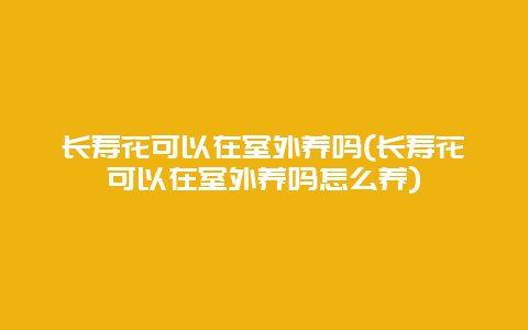 长寿花可以在室外养吗(长寿花可以在室外养吗怎么养)