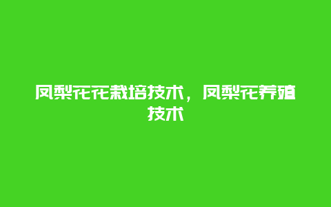 凤梨花花栽培技术，凤梨花养殖技术