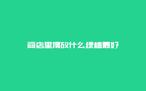 商店里摆放什么绿植最好