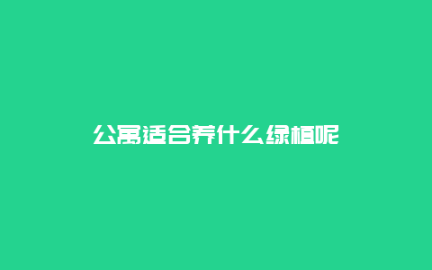 公寓适合养什么绿植呢