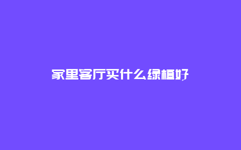 家里客厅买什么绿植好