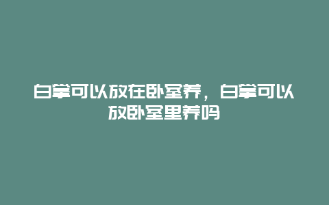 白掌可以放在卧室养，白掌可以放卧室里养吗