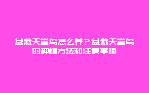 盆栽天堂鸟怎么养？盆栽天堂鸟的种植方法和注意事项