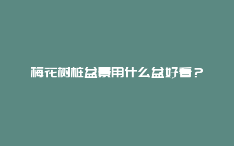 梅花树桩盆景用什么盆好看？