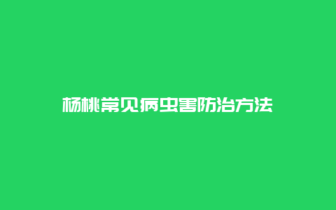 杨桃常见病虫害防治方法