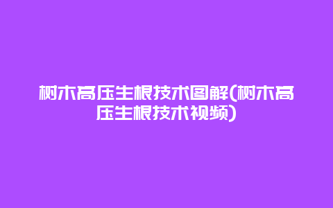 树木高压生根技术图解(树木高压生根技术视频)