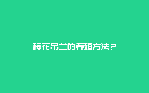 梅花吊兰的养殖方法？