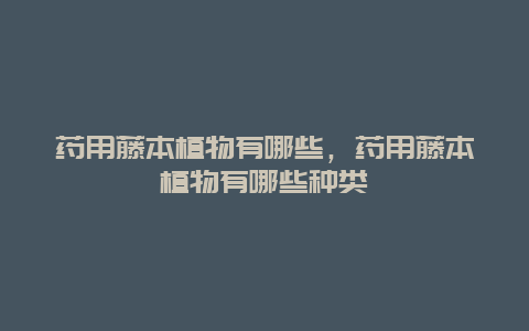 药用藤本植物有哪些，药用藤本植物有哪些种类