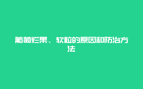 葡萄烂果、软粒的原因和防治方法