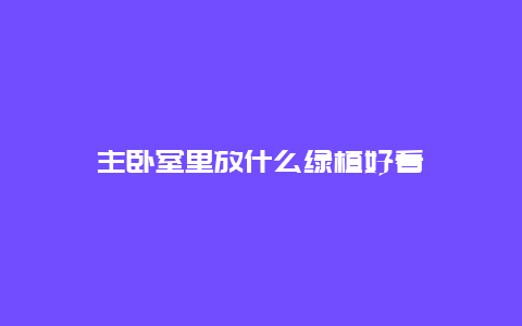 主卧室里放什么绿植好看